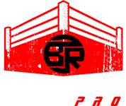 Boxing Ring Pro